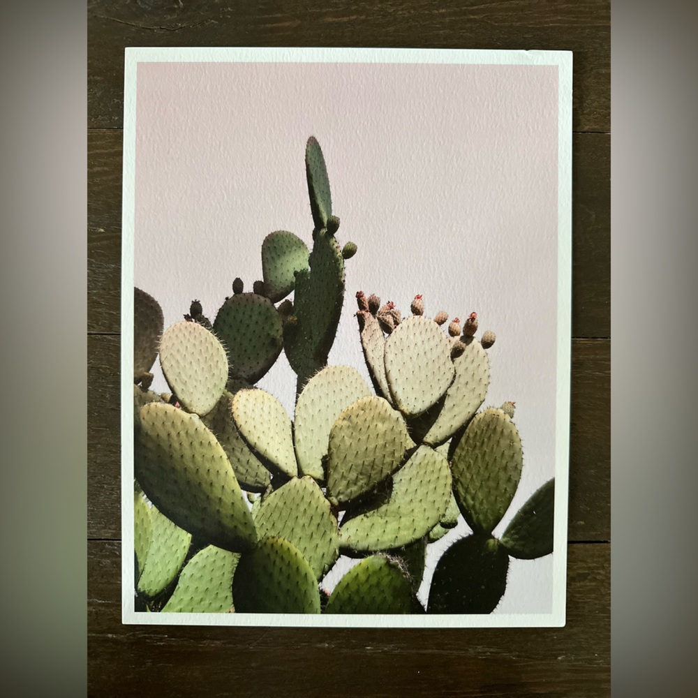 Cacti Fine Art Print